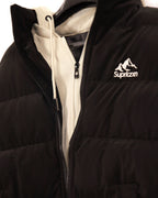Arctic Shadow Puffer